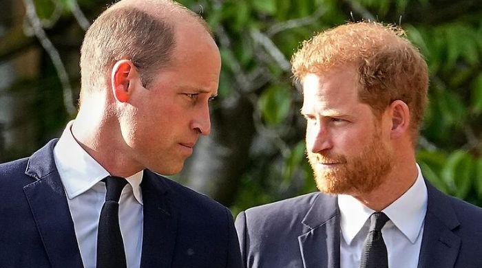 Pangeran William peringatkan warisan Harry terancam karena gaya hidup 'mewah'